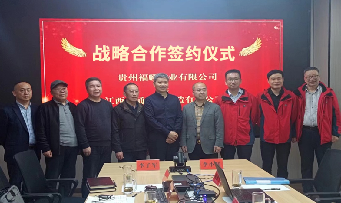 图片11